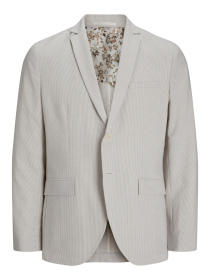 Пиджаки JACK & JONES модель 12254975_HarborMist Фото