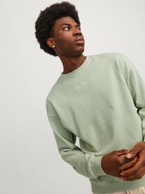 Худи и свитшоты JACK & JONES модель 12253369_DesertSage Фото