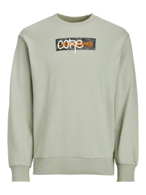 Худи и свитшоты JACK & JONES модель 12256370_DesertSage Фото