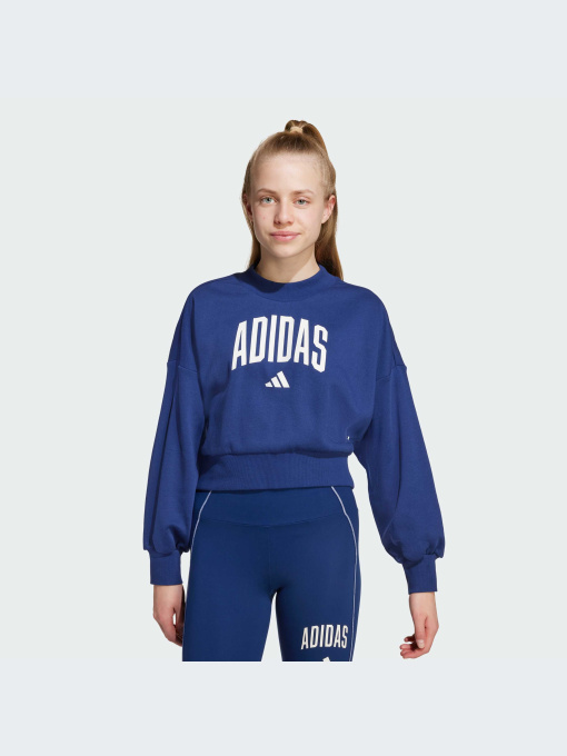 Худи и свитшоты Adidas модель JM1535-KZ Фото