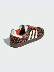 Кеды Adidas модель JI2734-KZ Фото
