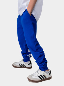 Брюки BODO модель 6-445MU-blue Фото