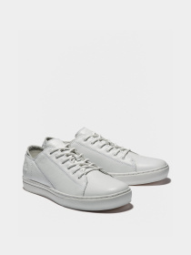 Кеды Timberland модель TB0A2JYP100 Фото