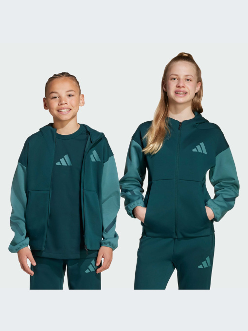 Худи и свитшоты Adidas ZNE модель JX9929-KZ Фото