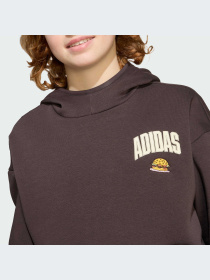 Худи и свитшоты Adidas модель JL9181-KZ Фото