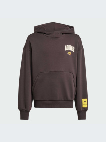 Худи и свитшоты Adidas модель JL9181-KZ Фото
