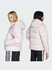 Куртки и дубленки Adidas Adicolor модель JW1104-KZ Фото