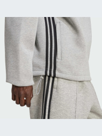 Худи и свитшоты Adidas Adicolor модель JX1508-KZ Фото