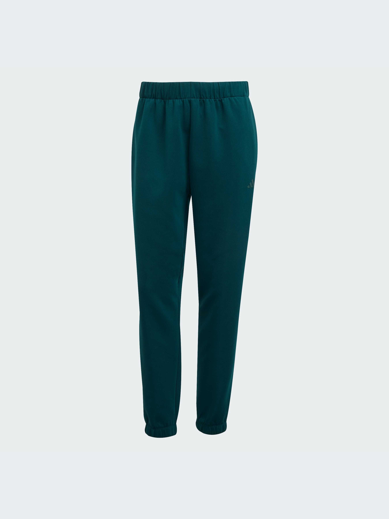 Брюки Adidas модель JY2812-KZ Фото