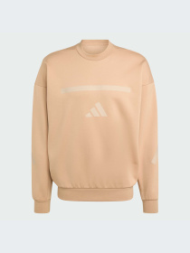 Худи и свитшоты Adidas ZNE модель JW4750-KZ Фото
