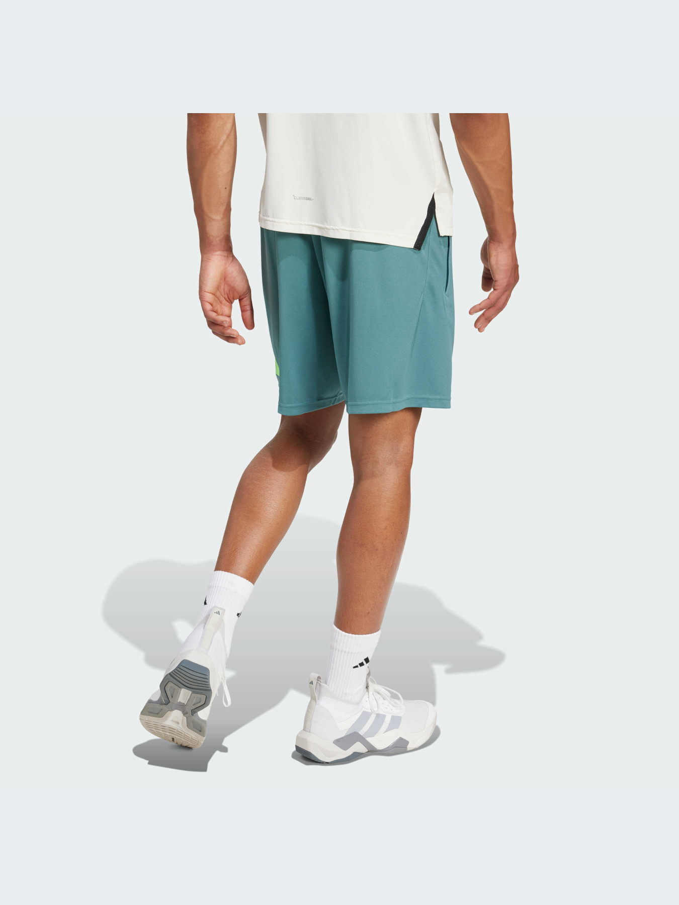 Шорты Adidas модель JX2738-KZ Фото