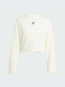 Худи и свитшоты Adidas модель JV7456-KZ Фото