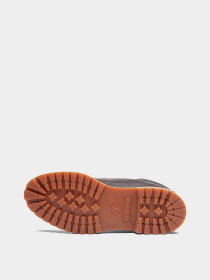 Ботинки и сапоги Timberland модель TB0A2P6WEXU Фото