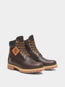 Ботинки и сапоги Timberland модель TB0A2P6WEXU Фото