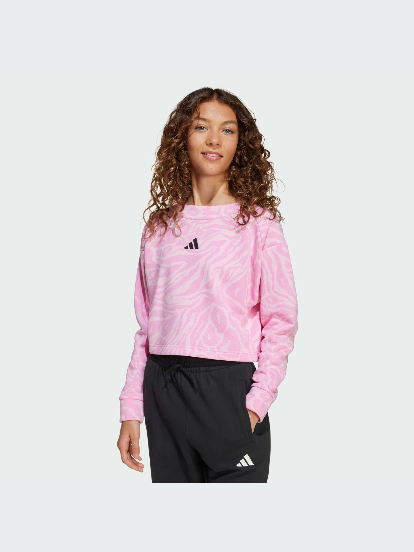 Худи и свитшоты Adidas Icons модель JW7541-KZ Фото