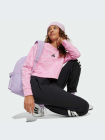 Худи и свитшоты Adidas Icons модель JW7541-KZ Фото