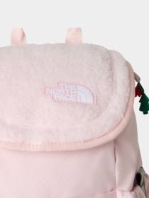 Рюкзаки The North Face модель NF0A52VWF1Z1 Фото