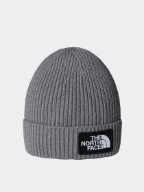 Шапки и кепки The North Face модель NF0A8CGUDYY1 Фото