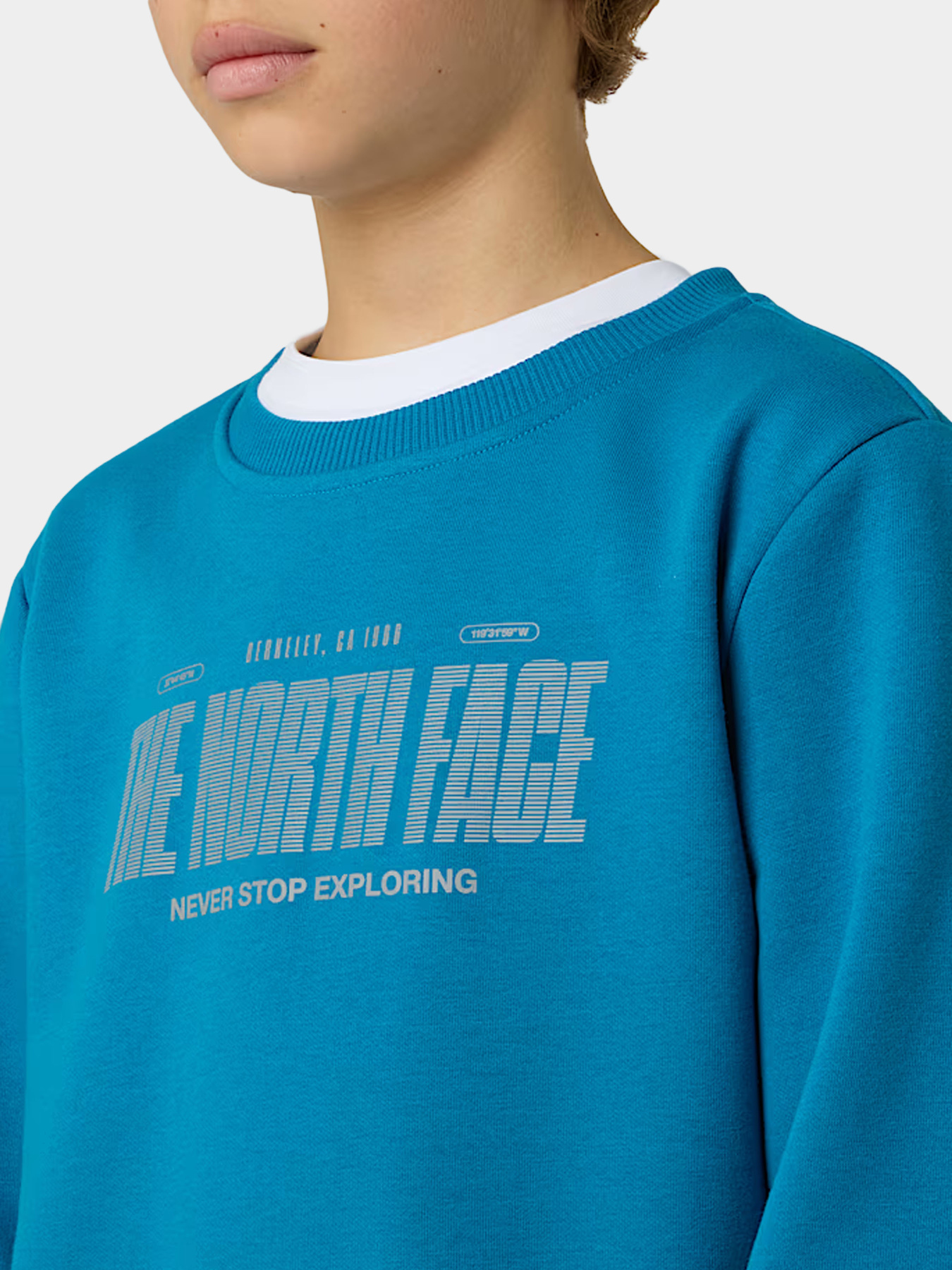 Худи и свитшоты The North Face модель NF0A8EATBOM1 Фото