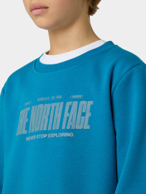 Худи и свитшоты The North Face модель NF0A8EATBOM1 Фото