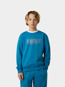 Худи и свитшоты The North Face модель NF0A8EATBOM1 Фото