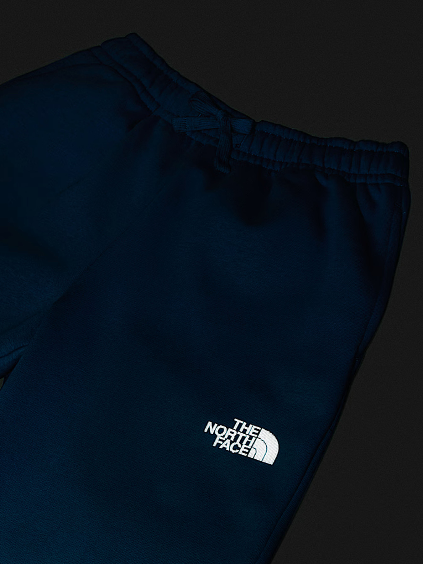 Брюки The North Face модель NF0A8EAUBOM1 Фото