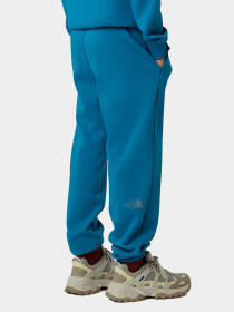 Брюки The North Face модель NF0A8EAUBOM1 Фото