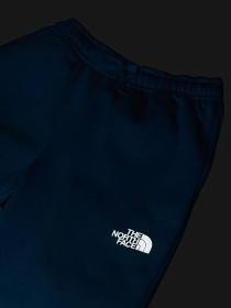 Брюки The North Face модель NF0A8EAUBOM1 Фото