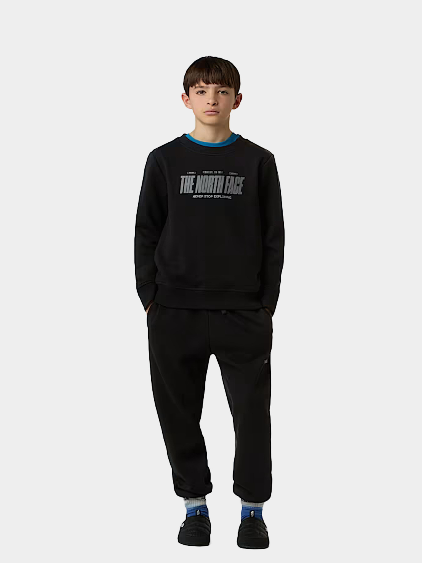 Брюки The North Face модель NF0A8EAUJK31 Фото
