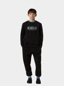 Брюки The North Face модель NF0A8EAUJK31 Фото