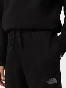 Брюки The North Face модель NF0A8EAUJK31 Фото