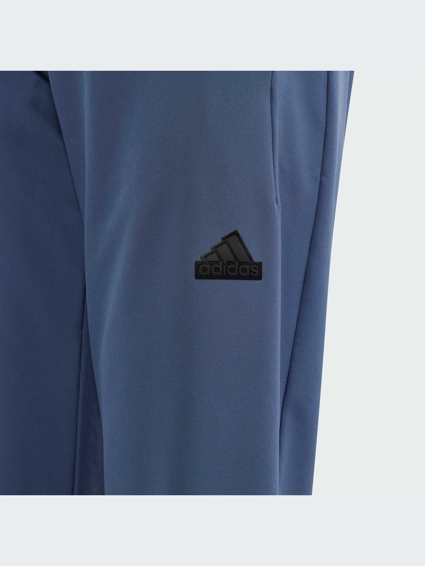 Брюки Adidas ZNE модель IS3401-KZ Фото