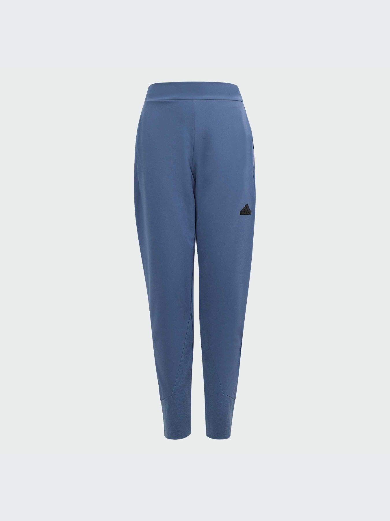 Брюки Adidas ZNE модель IS3401-KZ Фото