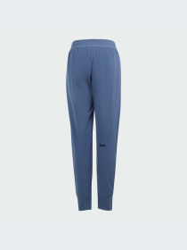 Брюки Adidas ZNE модель IS3401-KZ Фото