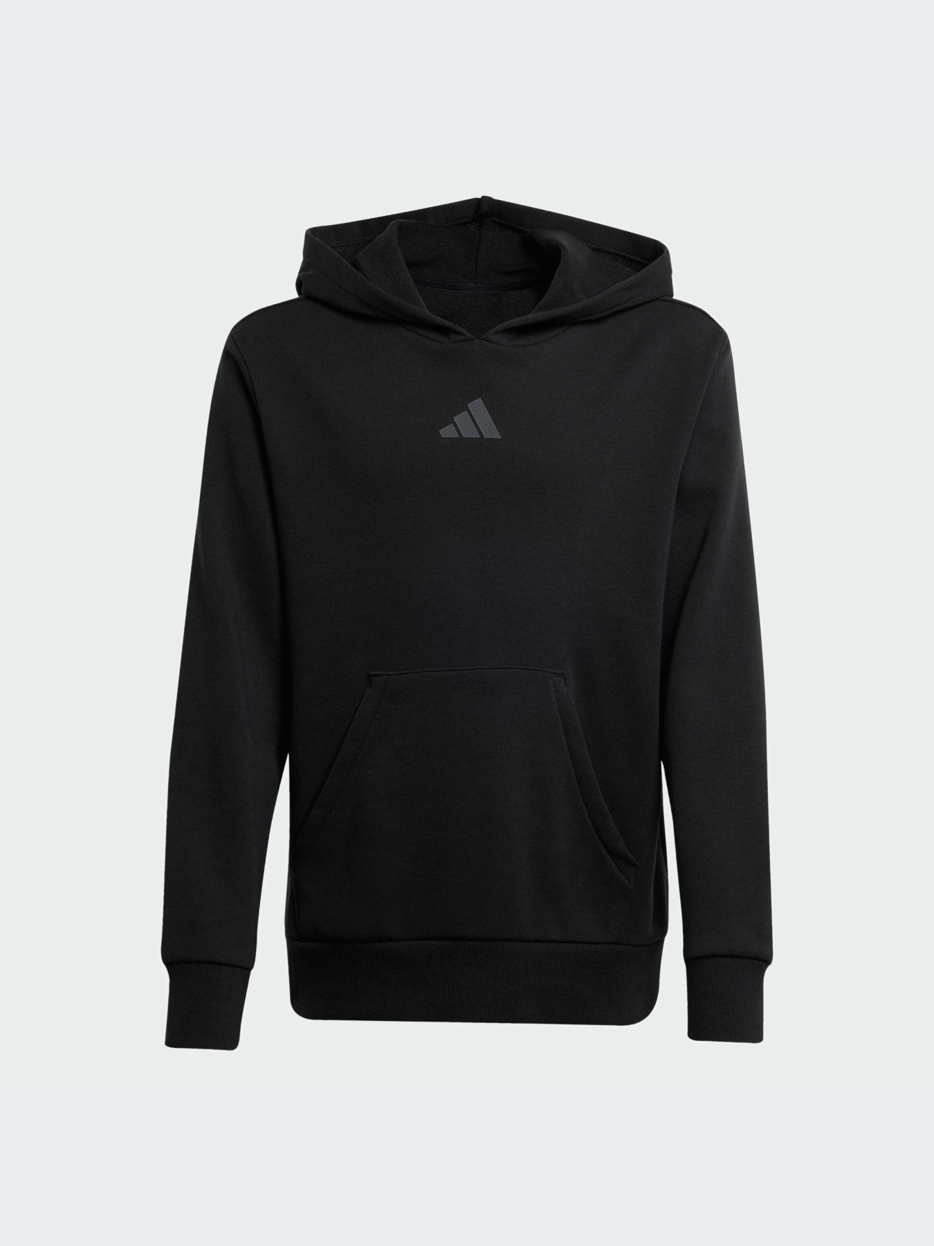 Худи и свитшоты Adidas модель JJ3072-KZ Фото