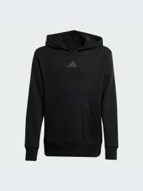 Худи и свитшоты Adidas модель JJ3072-KZ Фото