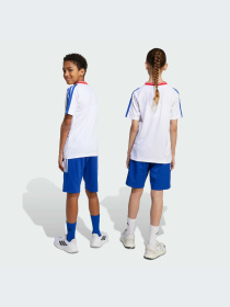 Шорты Adidas Tiro модель JW5095-KZ Фото