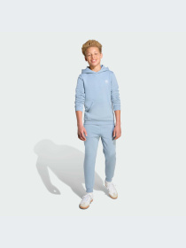 Брюки Adidas модель JX2743-KZ Фото