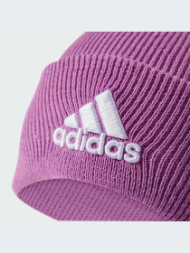 Шапки и кепки Adidas модель IY7668-KZ Фото