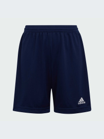 Шорты Adidas модель H57565-KZ Фото