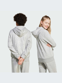 Худи и свитшоты Adidas модель JN2162-KZ Фото