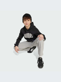 Худи и свитшоты Adidas модель JM1536-KZ Фото