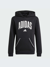 Худи и свитшоты Adidas модель JM1536-KZ Фото