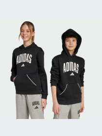Худи и свитшоты Adidas модель JM1536-KZ Фото
