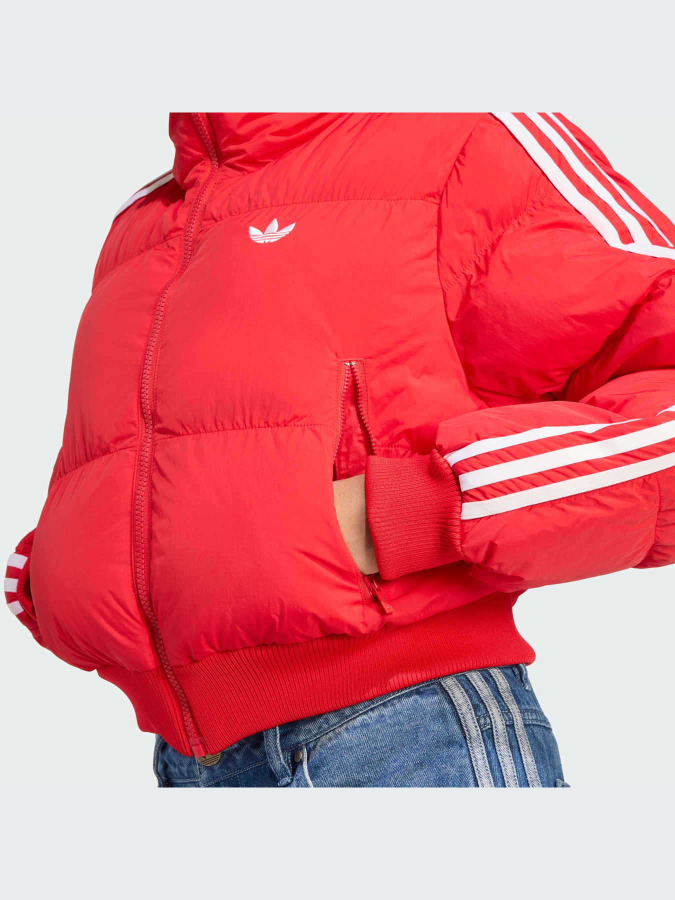Куртки и дубленки Adidas Adicolor модель JX2966-KZ Фото