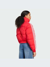 Куртки и дубленки Adidas Adicolor модель JX2966-KZ Фото