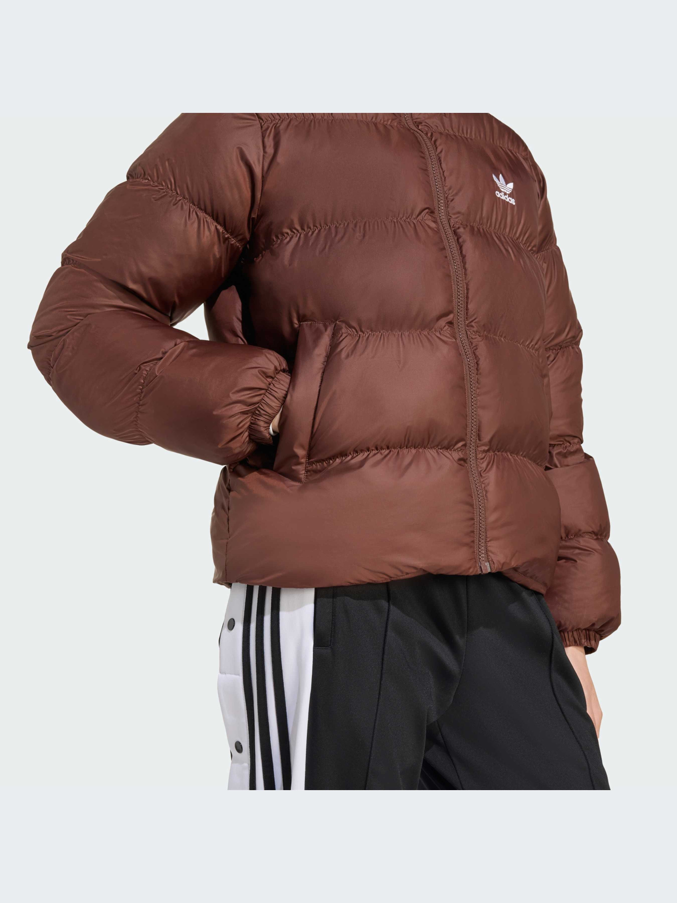 Куртки и дубленки Adidas Adicolor модель JX2948-KZ Фото