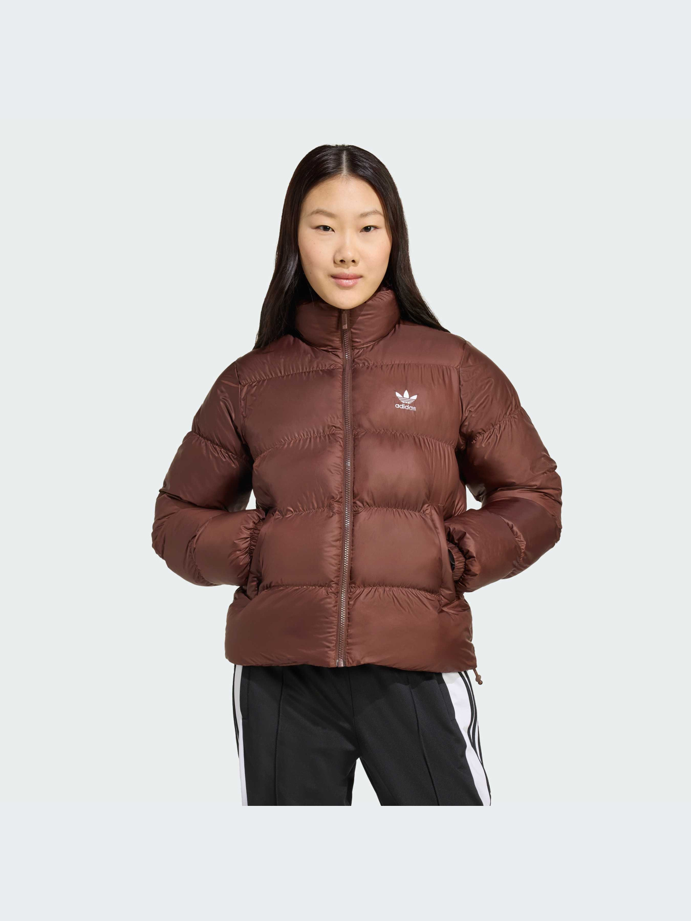 Куртки и дубленки Adidas Adicolor модель JX2948-KZ Фото