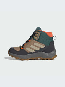 Ботинки и сапоги Adidas Terrex модель JS2920-KZ Фото