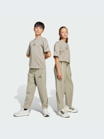 Брюки Adidas ZNE модель JN8953-KZ Фото